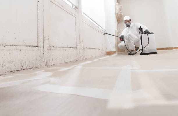 24/7 Emergency Black Mold Remediation experts in Wakefield, VA
