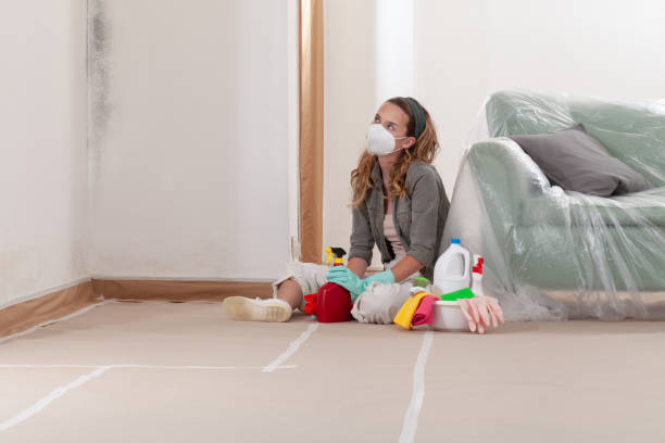 Reliable Black Mold Remediation contractor in Wakefield, VA by Mold Remediation HQ